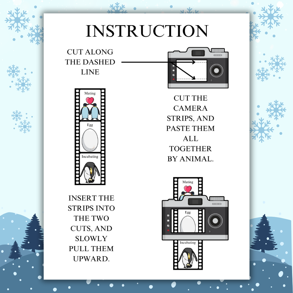 Winter Animal Life Cycle Study Pack