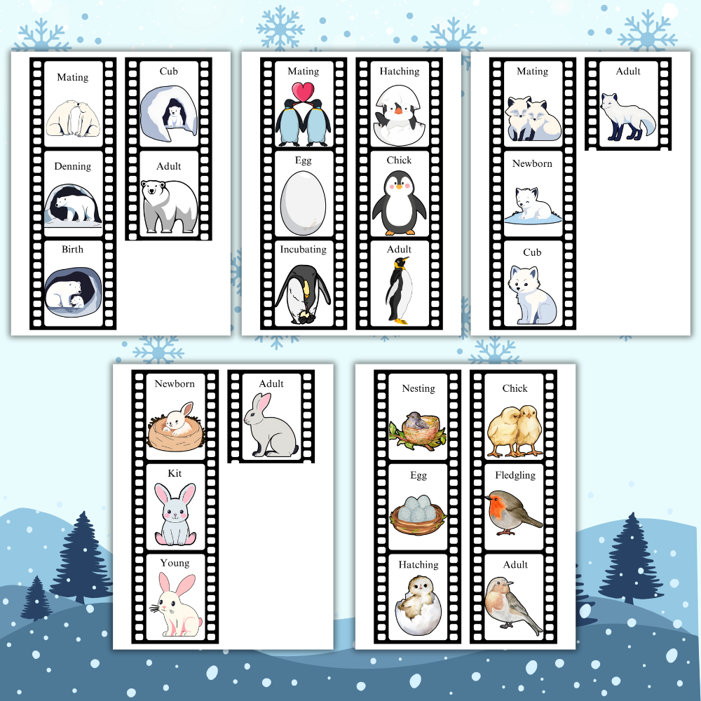 Winter Animal Life Cycle Study Pack